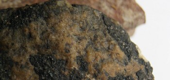 2017-03-24 19-47-16 (2).JPG