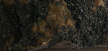 2017-03-24 19-47-16 (4).JPG