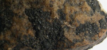 2017-03-24 19-47-16 (5).JPG