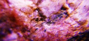 2017-02-23 06-36-44 (2).JPG