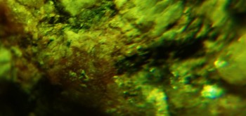 2017-02-23 06-36-44 (3).JPG