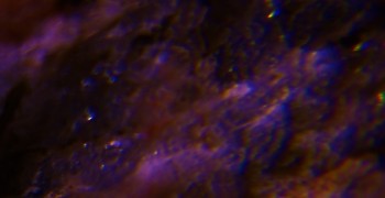 2017-02-23 06-38-40 (2).JPG