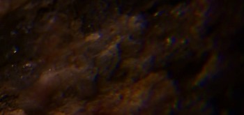 2017-02-23 06-38-40 (3).JPG