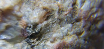 2017-02-23 06-38-40 (5).JPG