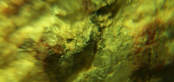 2017-02-23 06-38-46 (3).JPG