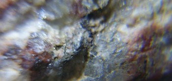 2017-02-23 06-38-46 (5).JPG