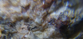 2017-02-23 06-38-52 (3).JPG