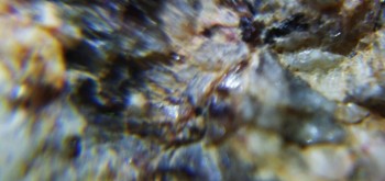 2017-02-23 06-38-52 (4).JPG