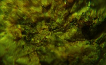 2017-02-23 06-38-52 (5).JPG