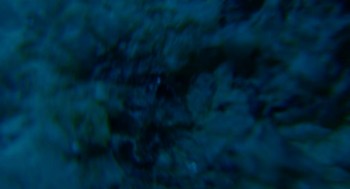 2017-02-23 06-39-00 (4).JPG