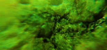 2017-02-23 06-39-18 (3).JPG