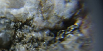 2017-02-23 06-39-18 (4).JPG