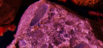 2017-02-23 09-43-52 (2).JPG