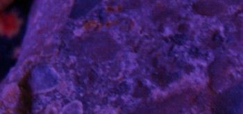 2017-02-23 09-43-52 (3).JPG