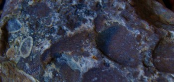 2017-02-23 09-43-52 (4).JPG