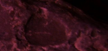 2017-02-23 09-43-52 (5).JPG