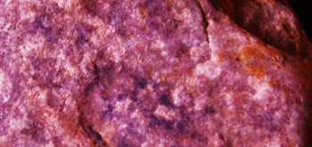 2017-02-23 09-44-18 (3).JPG