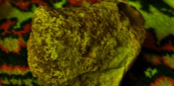 2017-02-23 09-44-42 (2).JPG