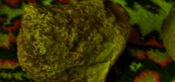 2017-02-23 09-44-42 (3).JPG