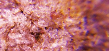 2017-02-23 09-45-26 (2).JPG