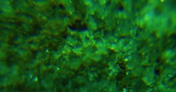 2017-02-23 09-45-34 (2).JPG