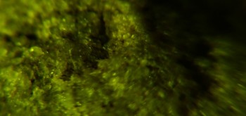 2017-02-23 09-45-48 (2).JPG