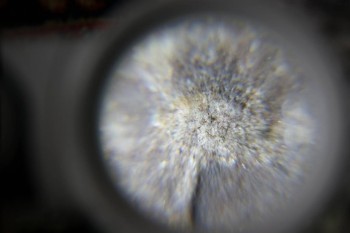 2017-02-23 09-45-26.JPG