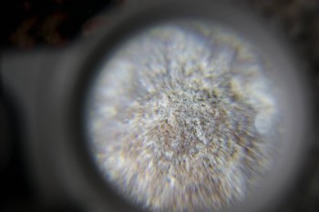 2017-02-23 09-45-34.JPG