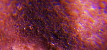 2017-02-23 09-46-00 (2).JPG