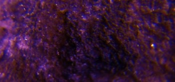 2017-02-23 09-46-08 (2).JPG