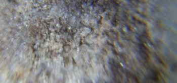 2017-02-23 09-46-24 (3).JPG