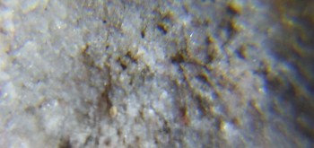 2017-02-23 09-46-38 (2).JPG