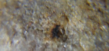 2017-02-23 09-46-50 (2).JPG