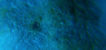 2017-02-23 09-46-50 (3).JPG