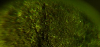 2017-02-23 09-47-18 (2).JPG