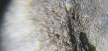 2017-02-23 09-47-18 (3).JPG