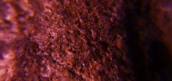 2017-02-23 09-47-28 (2).JPG