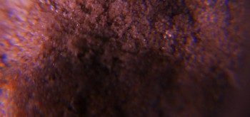 2017-02-23 09-47-58 (2).JPG