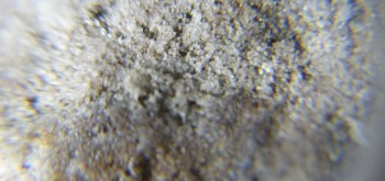 2017-02-23 09-47-58 (3).JPG