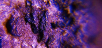 2017-02-23 09-52-44 (4).JPG