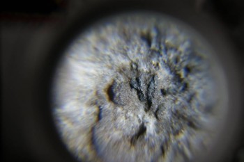 2017-02-23 09-52-44.JPG