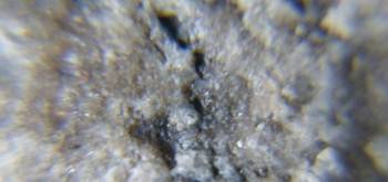 2017-02-23 09-52-54 (2).JPG