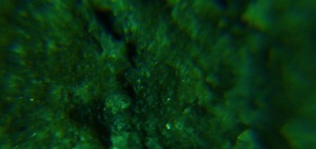 2017-02-23 09-52-54 (3).JPG