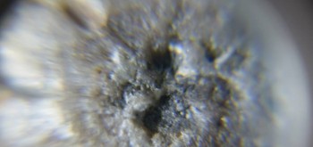 2017-02-23 09-53-10 (2).JPG