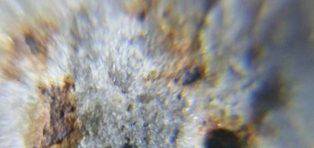 2017-02-23 09-53-34 (2).JPG