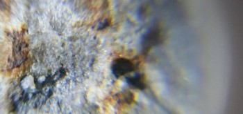 2017-02-23 09-53-34 (3).JPG