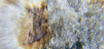 2017-02-23 09-53-34 (4).JPG