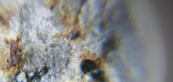 2017-02-23 09-53-34 (5).JPG