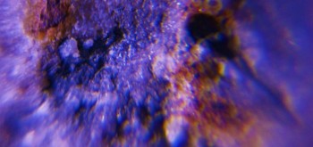 2017-02-23 09-53-34 (6).JPG