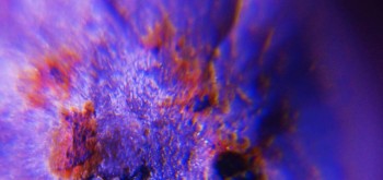 2017-02-23 09-53-34 (7).JPG